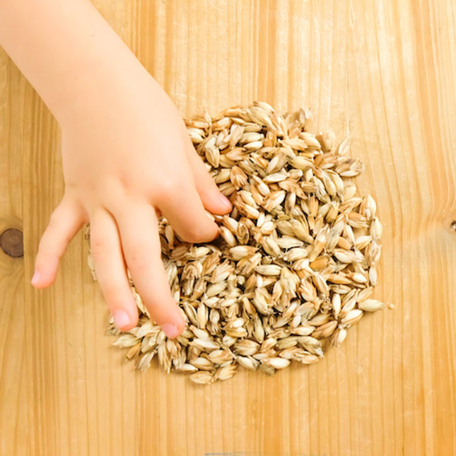 Dinkel Bio Füllmaterial aus kbA Dinkelspelzen Nachfüllpackung