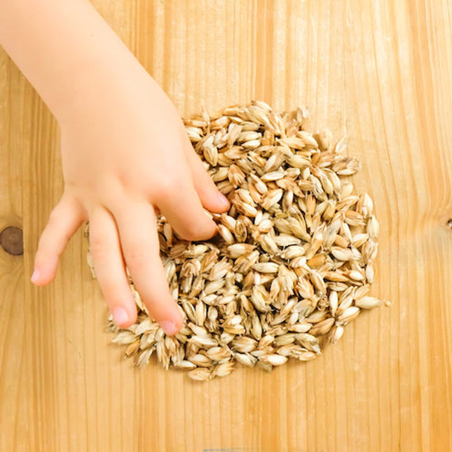 Dinkel-Zirbe Bio Füllmaterial aus kbA Dinkelspelzen und Zirbeflocken Nachfüllpackung